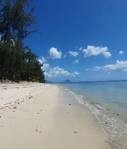 Coconut Bay Apartments